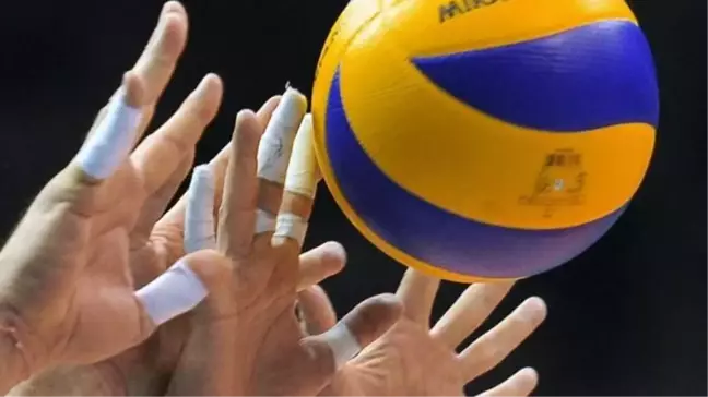 Voleybol: Efeler Ligi
