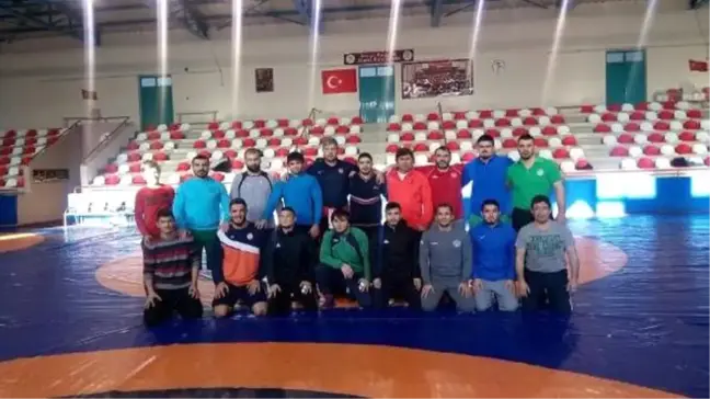 Serbest Güreş Dünya Kupası