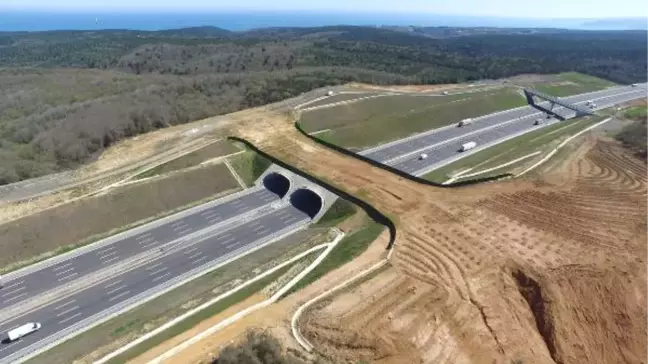 Yavuz Sultan Selim Köprüsü Çevre Yolunda Dikilen Ağaçların Bir Bölümü Kurudu