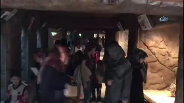 Ayvalıklı Ana Sınıfı Öğrencilerinin Hayvanat Bahçesi Sevinci