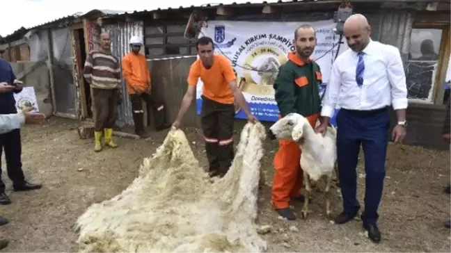2. Ulusal Kırkım Şampiyonası 20-21 Mayıs'ta Düzenlenecek