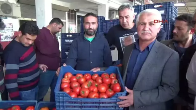 Domates Tarlada 3 Lira