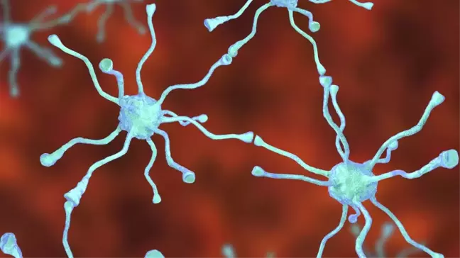 Parkinson Tedavisinde 'Umut Vaat Eden Yöntem'