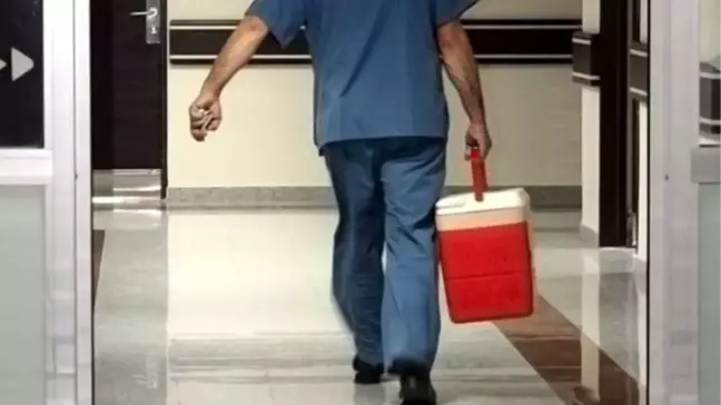 Türkiye-Senegal Arasında Organ Nakli İş Birliği