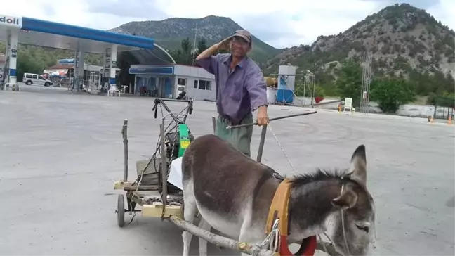 Tek Eşeği ile Çiftçilik Yapıyor