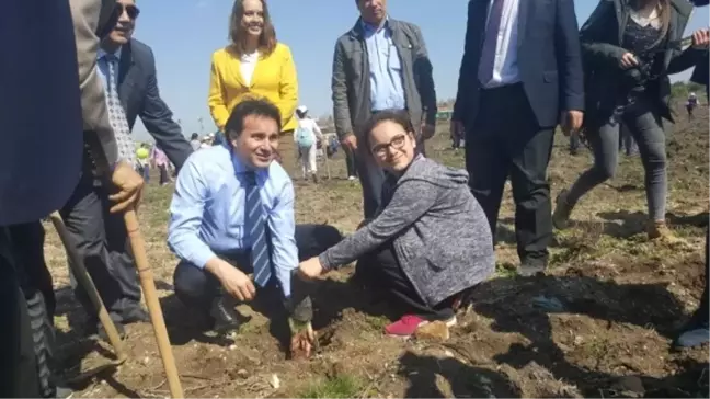 Biga'da Ormancılık Eğitimi