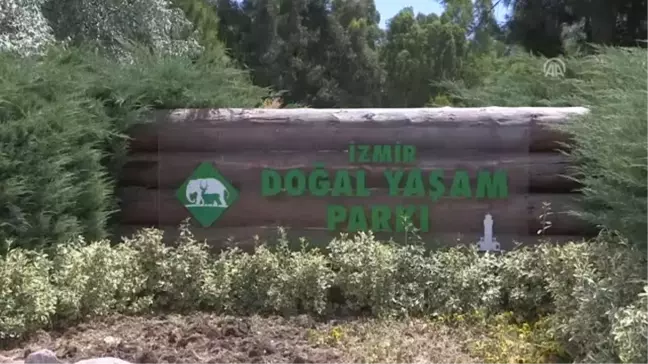 Hayvanat Bahçesinde