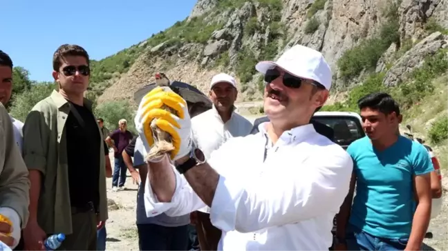 Yozgat'ta Doğaya Keklik Bırakıldı
