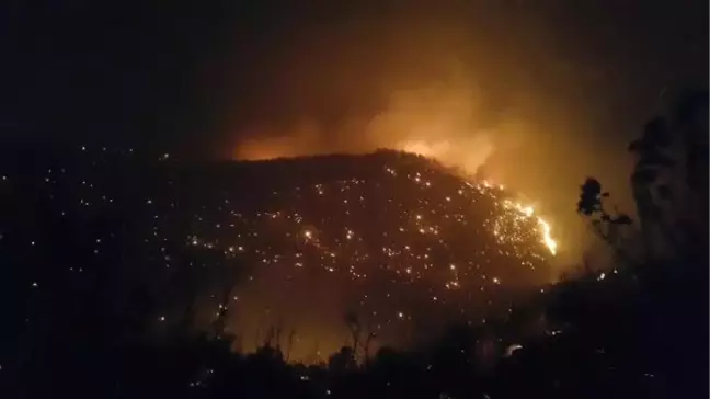 Sarayköy'deki Yangının Bilançosu 400 Hektar