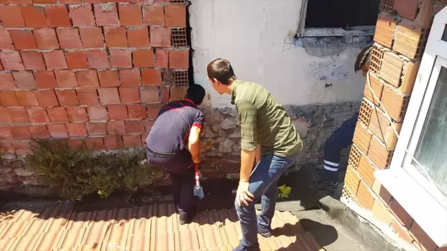 Sıkışan Hint Horozunu İtfaiye Ekipleri Kurtardı