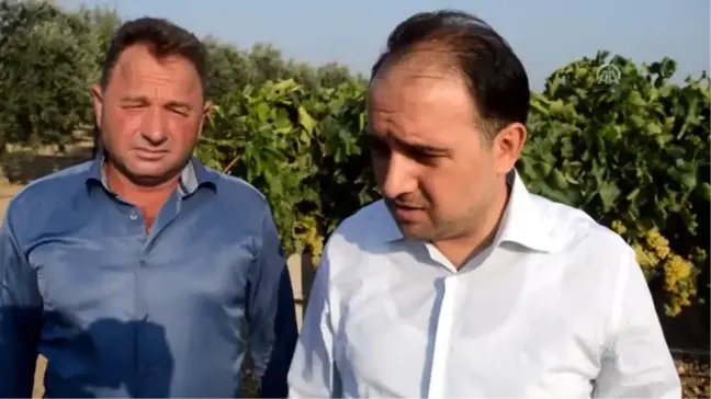 Manisa'da Etkili Olan Dolu ve Kuvvetli Rüzgar