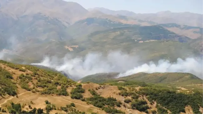 Tunceli'deki Orman Yangınları