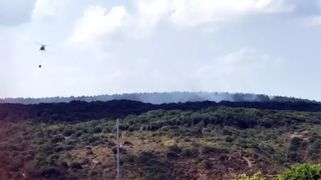 Sarıyer'de Orman Yangını: 15 Dönüm Alan Zarar Gördü