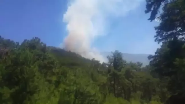 Erzincan'da Orman Yangını