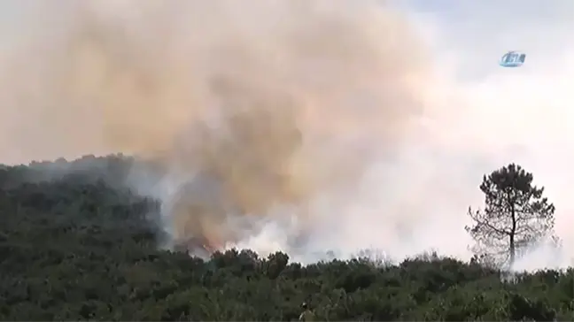 Sancaktepe'de Askeri Alanda Yangın