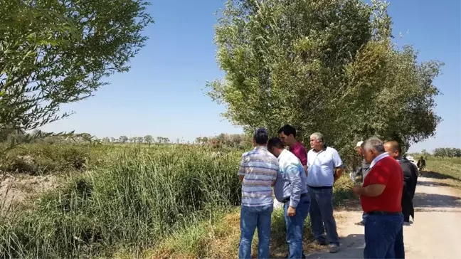 Tika'dan, Aral Gölü Civarında Fidanlık ve Ağaçlandırma Çalışmaları