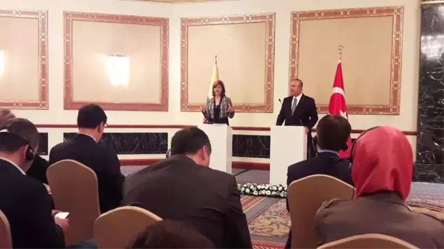 Dışişleri Bakanı Çavuşoğlu: