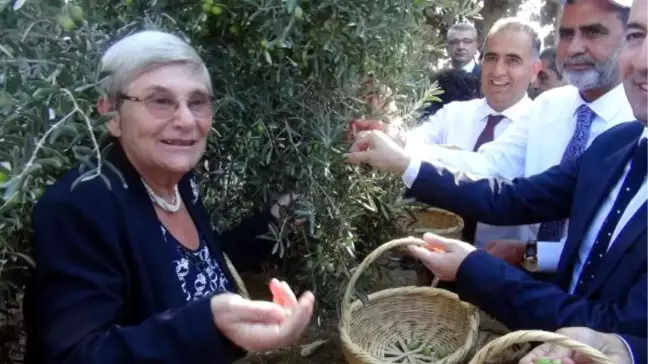 Prof.dr. Canan Karatay: Zeytin ve Zeytinyağı Tüketen Hastalanmaz