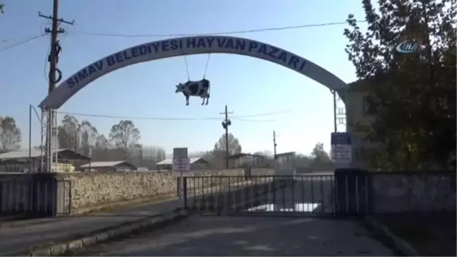 Simavlı Genç Çiftçilere Küçükbaş Hayvan Dağıtıldı