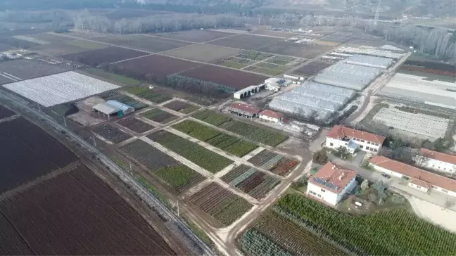 Türkiye'nin Akciğeri Burası
