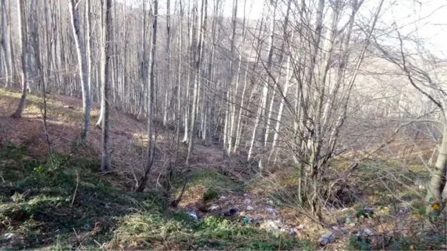 Kadın Çantası İçinde Bulunan Bebek Cesedi Sırrını Koruyor
