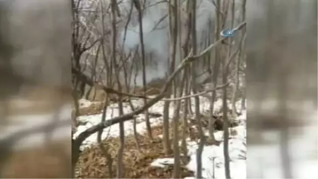 Bitlis'te Eyp Böyle İmha Edildi