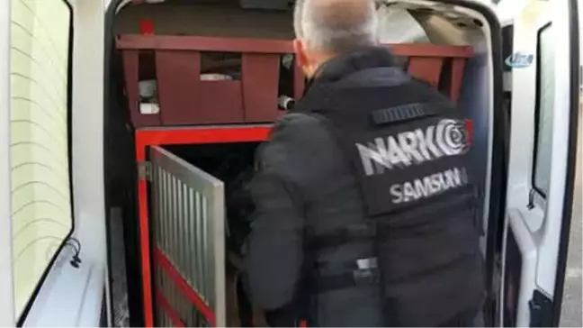 Narkotik Köpeği