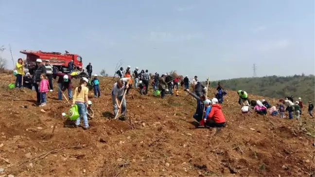 Bursa Çimento Kestel'i Ağaçlandırıyor