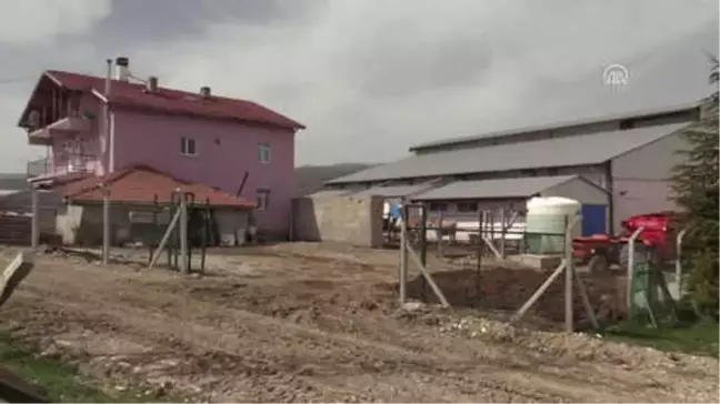 Şehir Hayatını Bırakıp Köyünde Hayvancılık Yapıyor