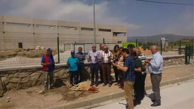 Tariş Kolonya Aydın'da Dualarla Üretime Başladı