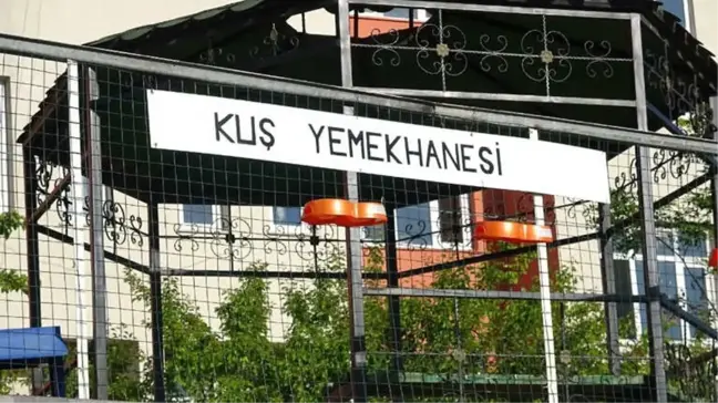 Öğretmen ve Öğrencilerden Kuşlar İçin Yemekhane
