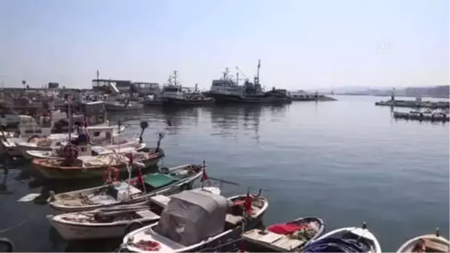Tayfalar'ın Hüzünlü