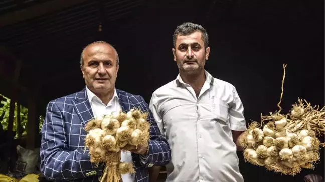 Başkan Arslan'dan Çiftçilere Ziyaret