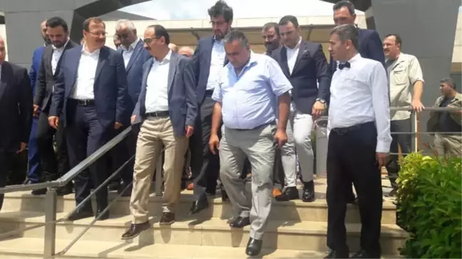 Siyah İncir İhracatının Önündeki Engeller Kalkıyor