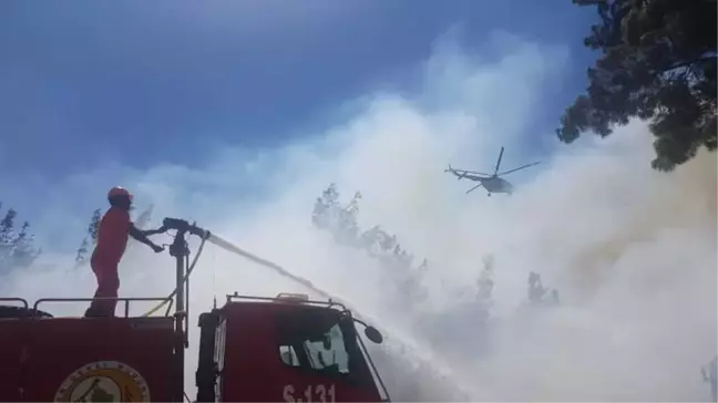 Antalya'da Orman Yangını