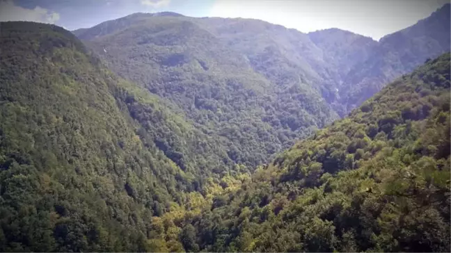 Tarihi Manastırları Arkeologlar Yerine Defineciler Kazıyor
