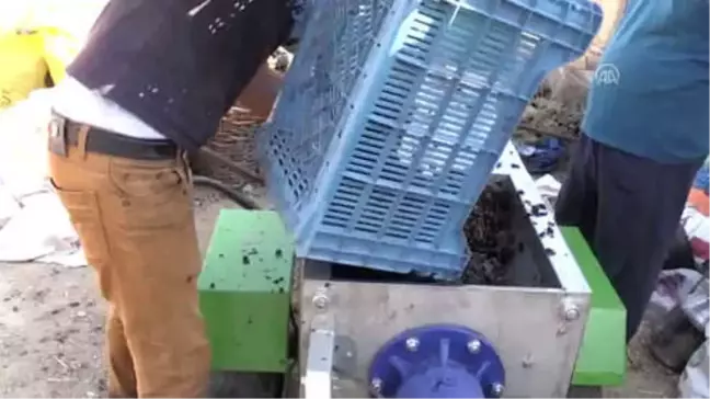 Toroslar'da Pekmez Zamanı