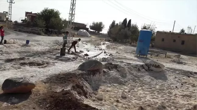 Şanlıurfa'dan Kısa Kısa