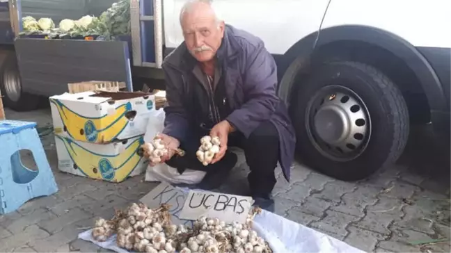 Sarımsak Satarak Geçimini Sağlıyor