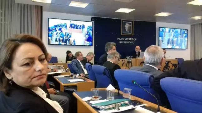 Şevkin: