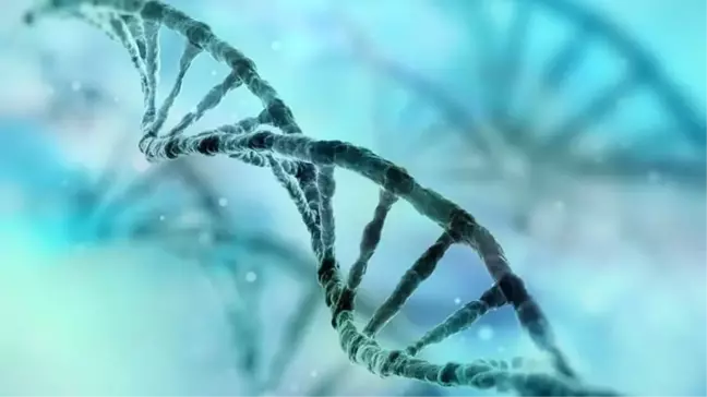 Bilim İnsanları, Dna'dan Yaşam Süresini Hesaplamaya Çalışıyor