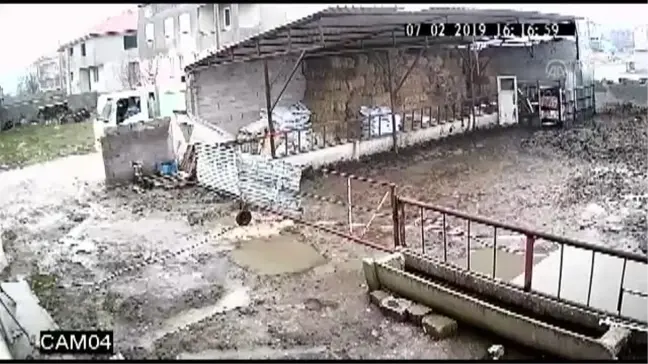 Uyuşturucu İğneyle Vurdukları Köpeği Çöp Kamyonuna Attılar