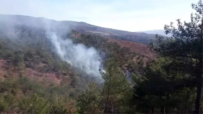 Orman Yangınında Bir Kişi Öldü