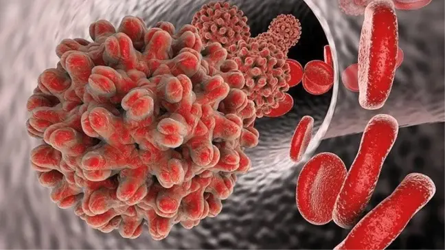 Türk Doktor, Hepatit B'nin Anne Karnında Engellenebildiğini Açıkladı