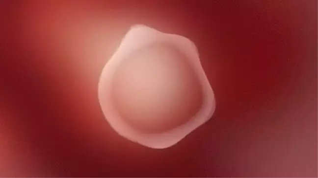 İlk Cinsiyetsiz Sesli Asistan Q, Ayrımcılıkla Mücadelenin Sembolü Oldu