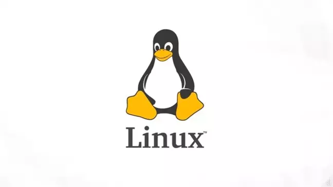 Eski Bilgisayarları Canlandıran İlaç Gibi Yazılım: Linux Lite 4.4
