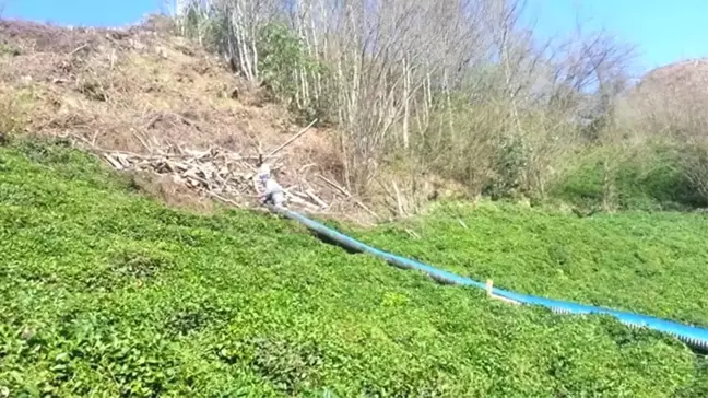 Rizeli'nin Odun Kaydırağı