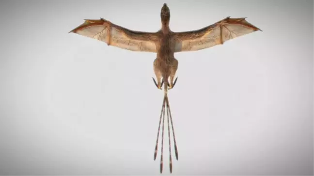 Drogon Sen Misin? Yarasa Kanatlarına Sahip Bir Dinozor Türü Keşfedildi