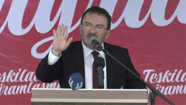 Altınok: