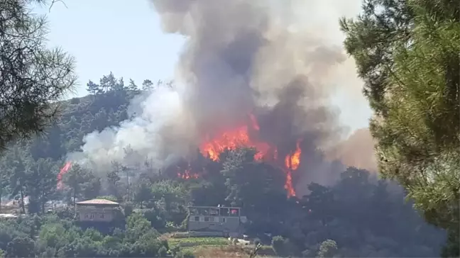 Manavgat'ta orman yangını